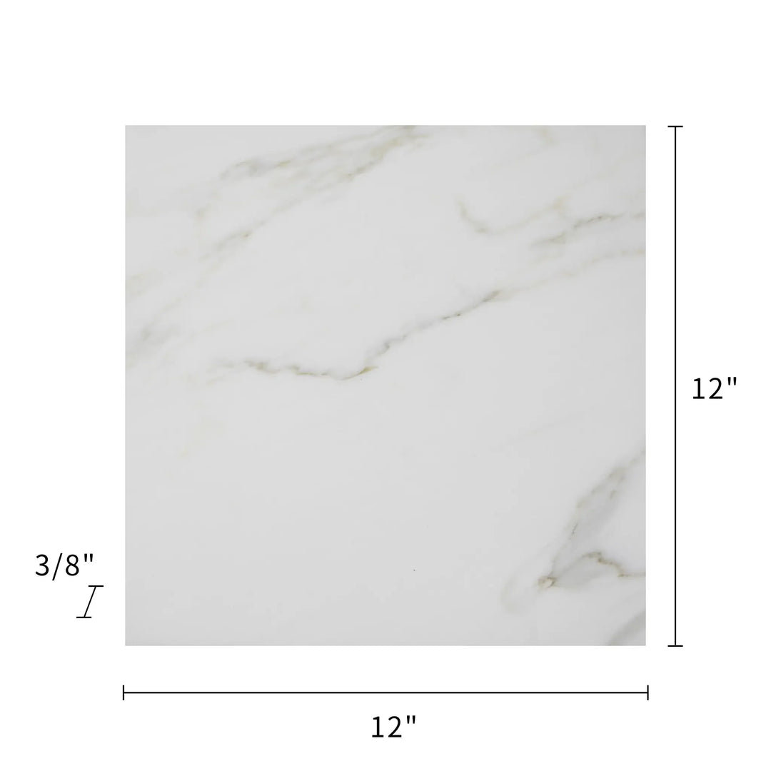 Calacatta 12-in x 12-in Polished Marble Floor and Wall Tile(1-sq. ft/ Piece)