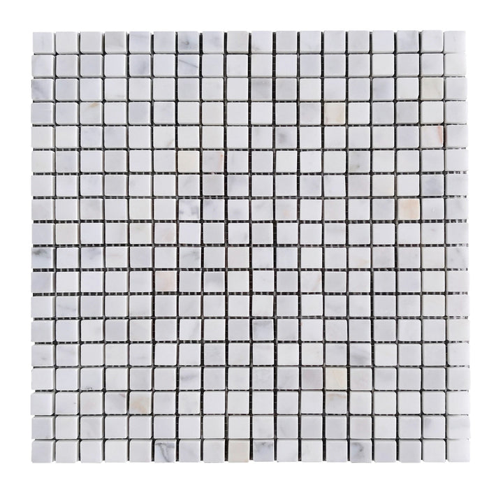 Calacatta 12-in x 12-in Polished Marble Mosaic Floor and Wall Tile(1-sq. ft/ Piece)