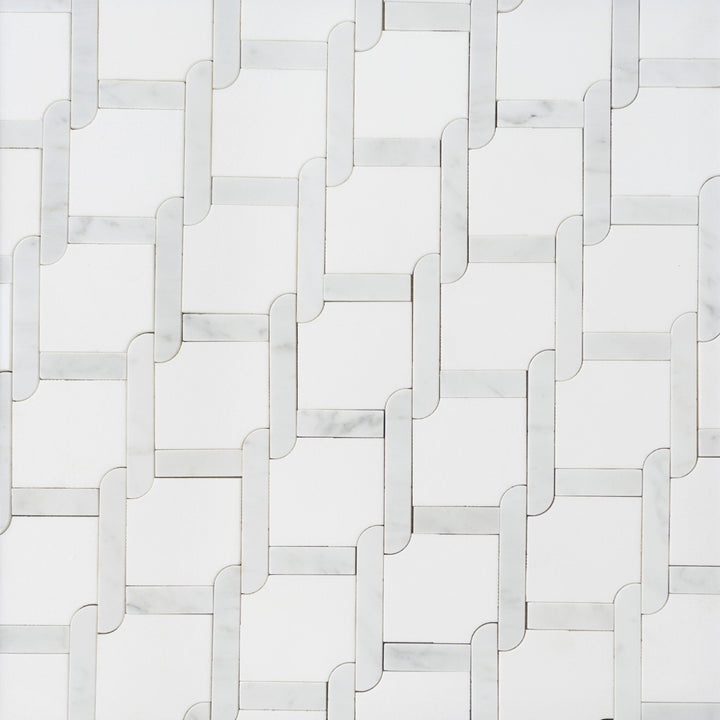 Thassos White & Carrara White Waterjet Mosaic Floor and Wall Tile - Sample (Product Shown is Full Size)