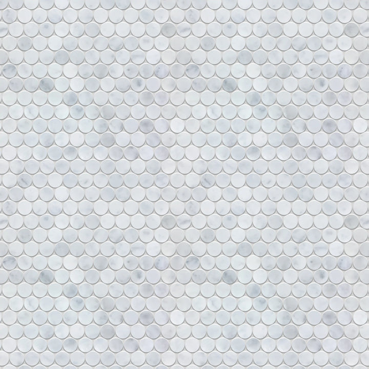 1-in Carrara Honeycomb 12-in x 12-in Polished Marble Mosaic Floor and Wall Tile(1-sq. ft/ Piece)