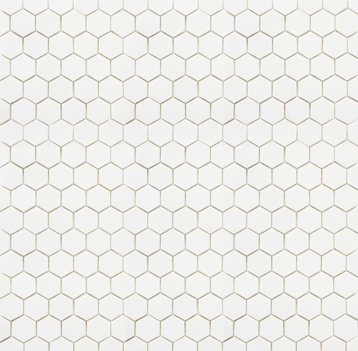 2-in Thassos White Hexagon 12-in x 12-in Polished Marble Mosaic Floor and Wall Tile(1-sq. ft/ Piece)